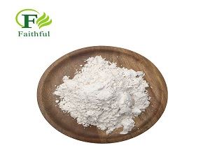 Dasatinib powder.jpg Dasatinib powder.jpg